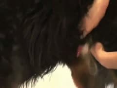 Dog paramour that acquires turned on by beast dong proudly searches for and tugs giant beasts jock
